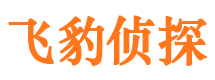 东兴区市调查公司